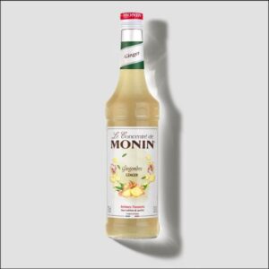 Le Concentré Gingembre Monin